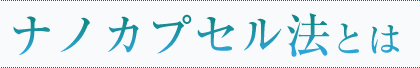 ナノカプセル法とは